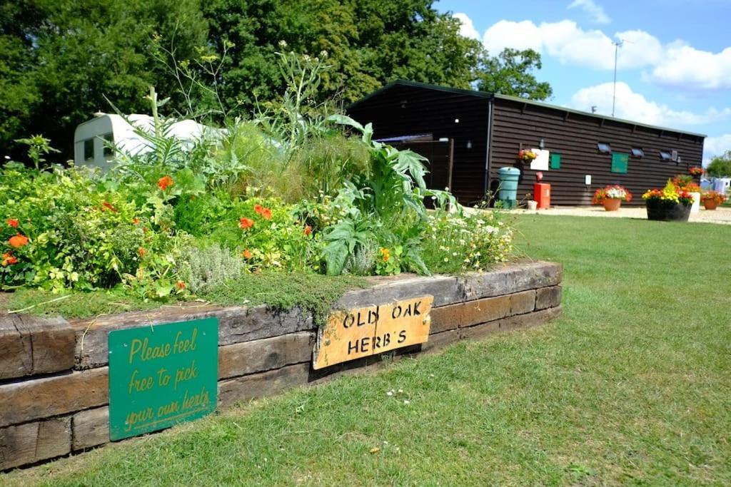 Glamping At South Lytchett Manor Hotell Poole Eksteriør bilde